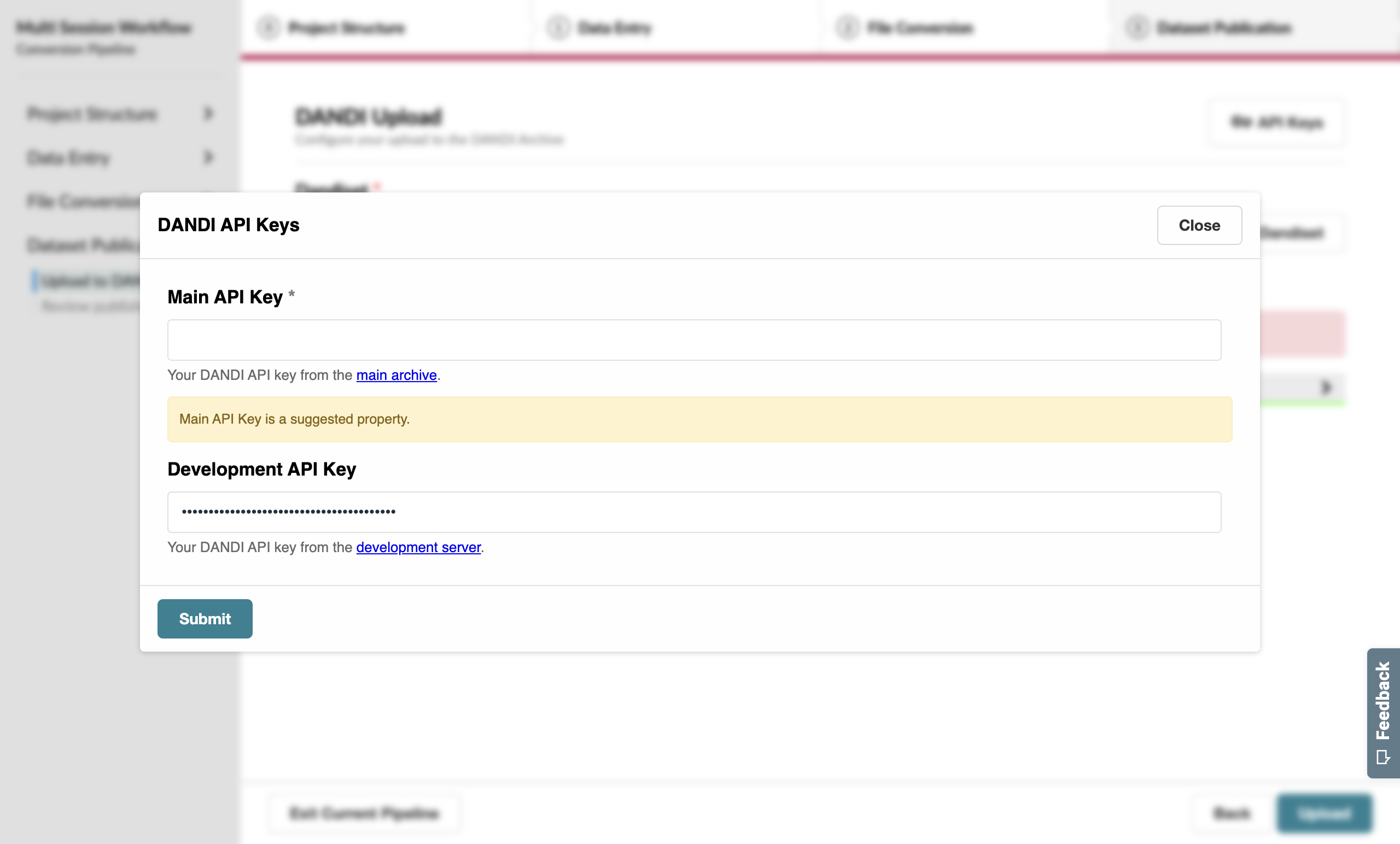 DANDI staging API key added